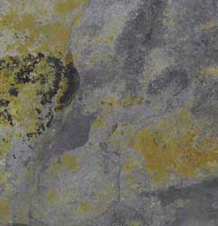 african multicolor slate