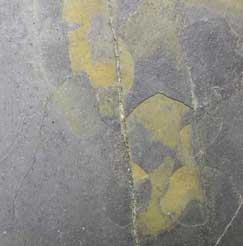 black gold stone veneers