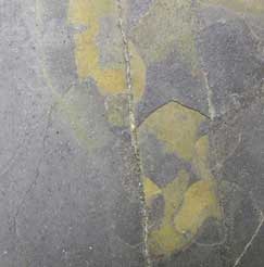 basement slate