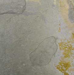 fantasia slate tile