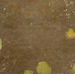 fantasia slate veneers