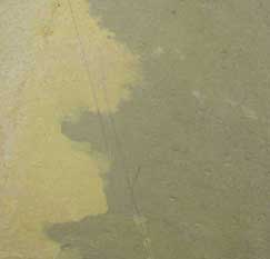 fantasia slate