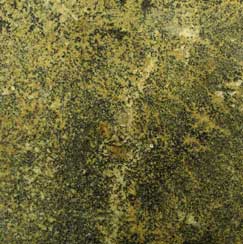 fossil tiles