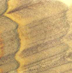 rainbow sandstone veneers