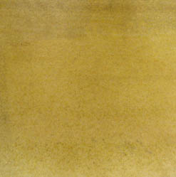 tl honey travertine veneers