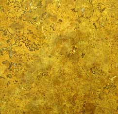 tl honey travertine tile