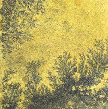 Fossil Stone Tables