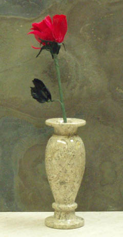 fossil stone vases