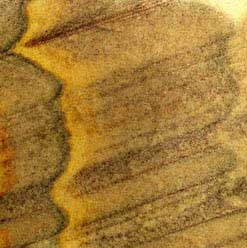 rainbow sandstone coasters