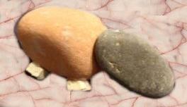 pet rock novelties