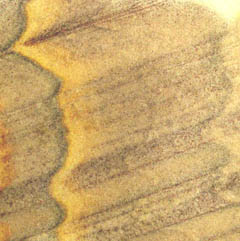rainbow stone hotplates