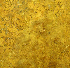 tl honey limestone trivets